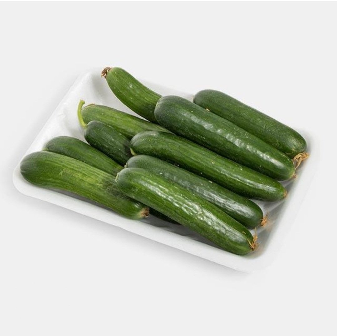 خیار گلخانه ای